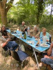 2022 07 03 ARLES  UNE JOURNEE AVEC L'ARAPA (22).jpg